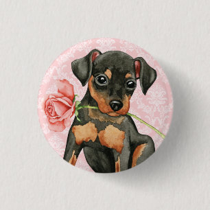 Valentine Rose Min Pin