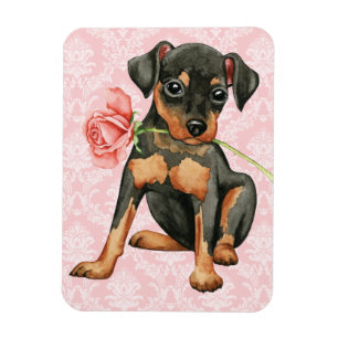 Valentine Rose Min Pin Magnet
