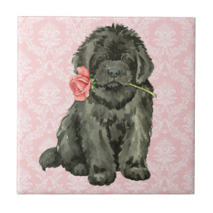 Valentine Rose Newfoundland Tile