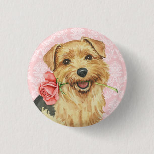 Valentine Rose Norfolk Terrier 1 Inch Round Button