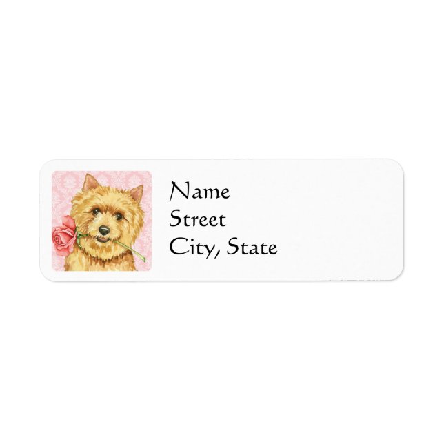 Valentine Rose Norwich Terrier (Devant)