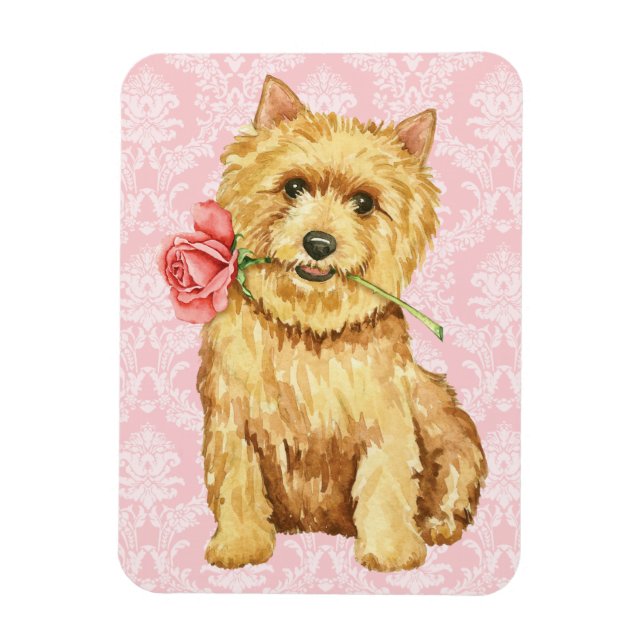 Valentine Rose Norwich Terrier Magnet (Vertical)