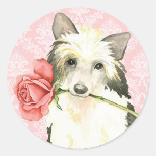 Valentine Rose Powderpuff Classic Round Sticker