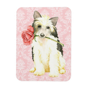 Valentine Rose Powderpuff Magnet