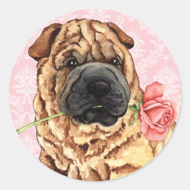 Valentine Rose Shar-Pei Classic Round Sticker (Front)