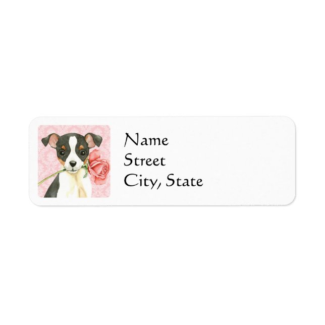 Valentine Rose Toy Fox Terrier (Front)