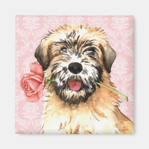 Valentine Rose Wheaten Magnet
