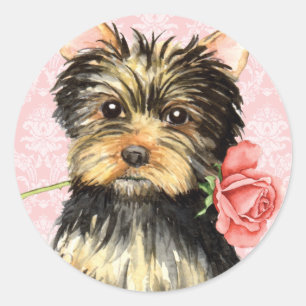 Valentine Rose Yorkie Classic Round Sticker