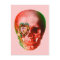 Valentine Skull