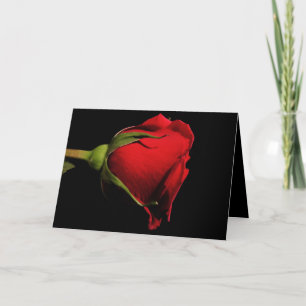 Valentine/Song of Solomon Scripture Holiday Card