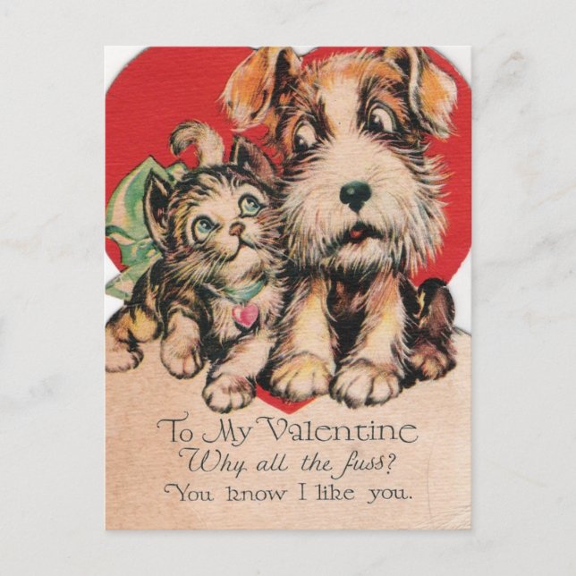 Valentine Why All The Fuss? Holiday Postcard (Front)