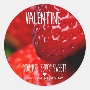 Valentine, you are berry sweet! classic round sticker