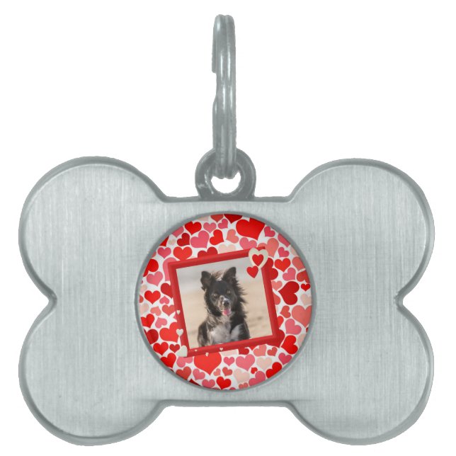 Valentines Border Collie Dog Hearts Pet Tag (Front)