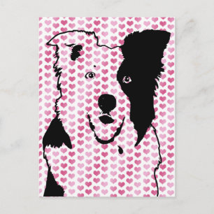 Valentines - Border Collie Silhouette Holiday Postcard