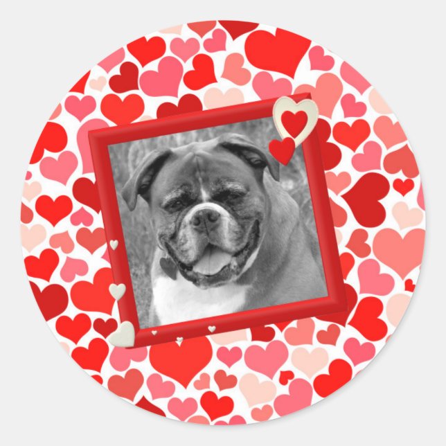 Valentines Boxer Dog Hearts Classic Round Sticker (Front)