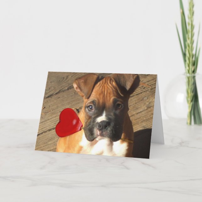 Valentine's Boxer puppy greeting card (Front)