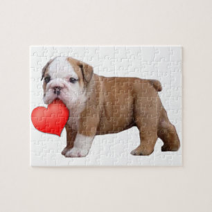 Valentine's bulldog puppy jigsaw puzzle