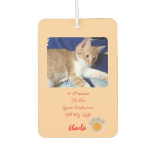 Valentine's Cat Photo Humor Text Air Freshener