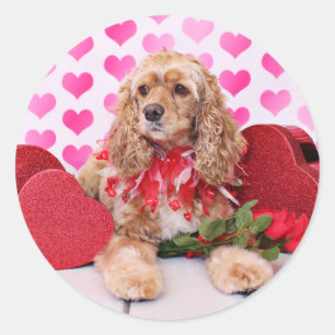 Valentines - Cocker Spaniel - Bella Classic Round Sticker
