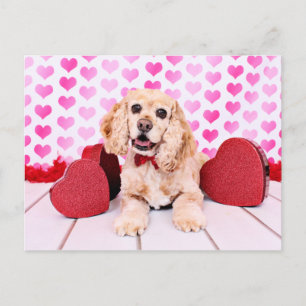 Valentines - Cocker Spaniel - Duke Holiday Postcard