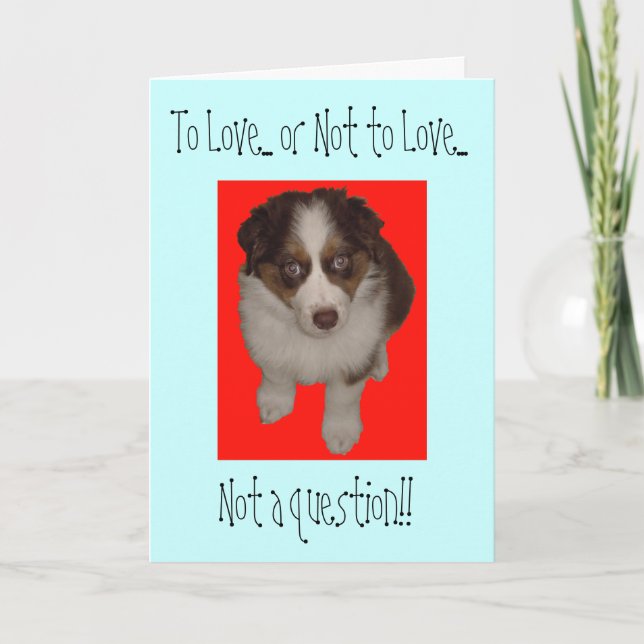 Valentine's Day Australian Shepherd dog Holiday Card (Front)