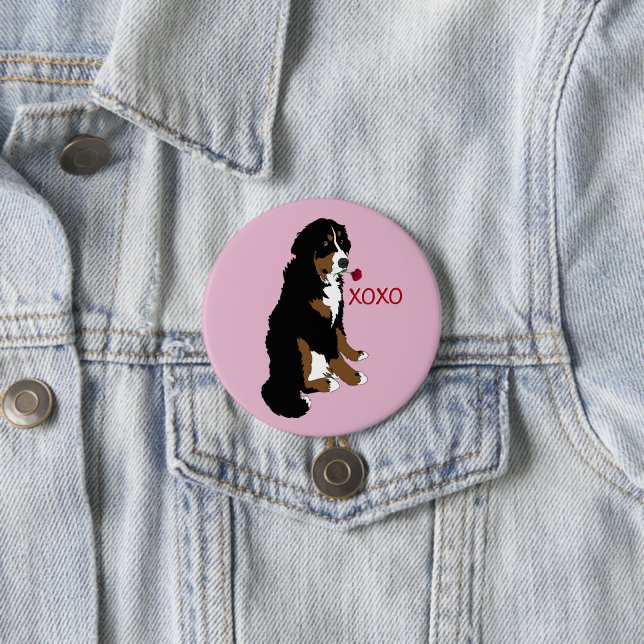 Valentines Day Bernese Mountain Dog 3 Inch Round Button (In Situ)