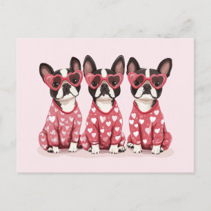 Valentines Day Boston Terrier Dogs Holiday Postcard