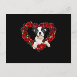 Valentines Day Boston Terrier Heart Roses Gift Dog Holiday Postcard