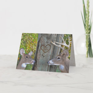 Valentine's Day buck and doe with heart on tree Card