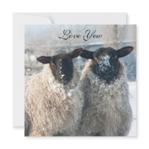 Valentine's Day Card