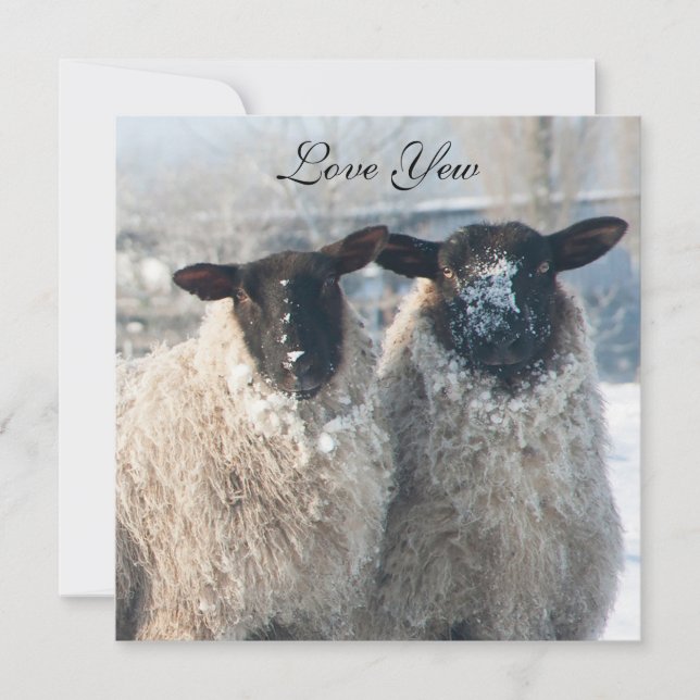 Valentine's Day Card (Front)