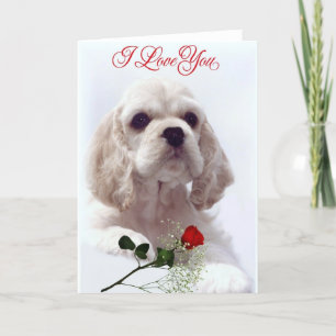 Valentines Day card