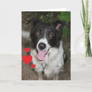 Valentine's Day Card from the Dog