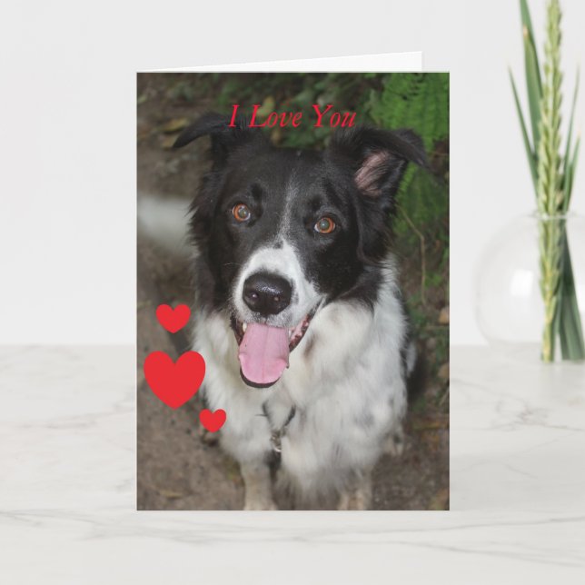 Valentine's Day Card from the Dog (Front)