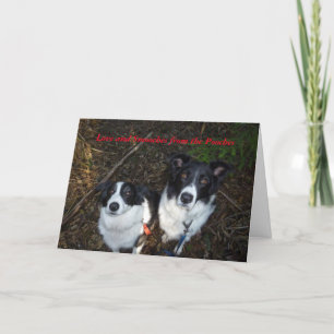 Valentine's Day Card from the Dogs