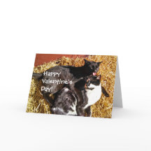Valentine's Day Card with Cats