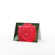 Valentine's Day Card with Red Rose