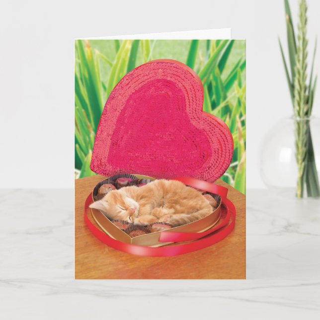 Valentine's Day Cat Card Funny Cute Adorable Best (Front)
