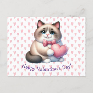 Valentine's Day Cat Postcard