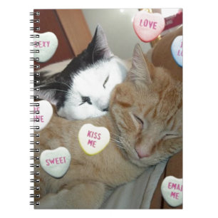 Valentine's Day Cats Notebook
