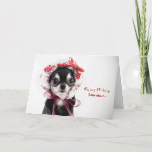 Valentine's Day Chihuahua Card