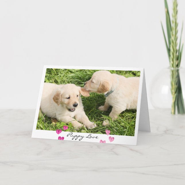 Valentine's Day Cute Dogs Puppy Love Holiday Card (Front)