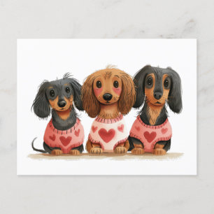 Valentines Day Dachshund Dogs Postcard