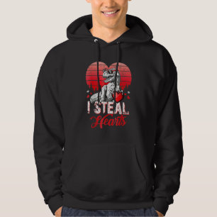 Valentines Day Dinosaur T rex Lover I Steal Hearts Hoodie