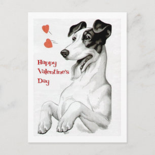 Valentines Day Dog Holiday Postcard