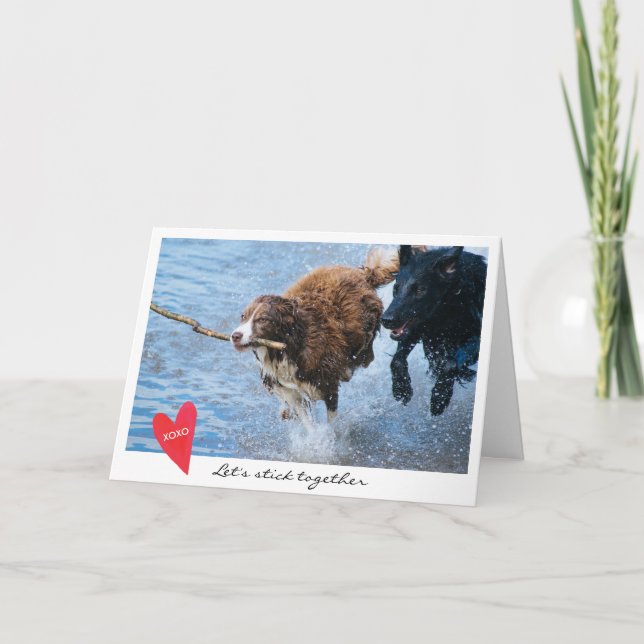 Valentine's Day Dog Photo Let's Stick Together Holiday Card (Front)