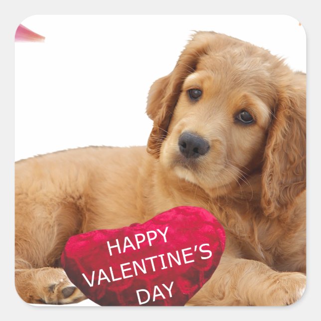 Valentine's Day Dog Photo Square Sticker (Front)