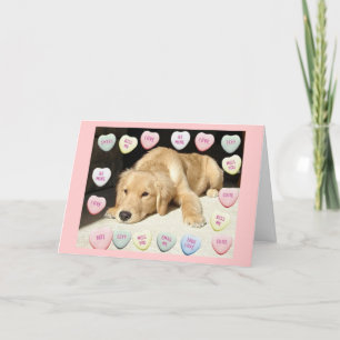 Valentine's Day Golden Retriever Holiday Card