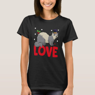 Valentine's Day Hearts Love Ferrets Animal Women T-Shirt