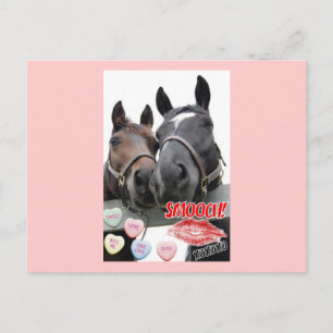 Valentine's Day Horses Holiday Postcard